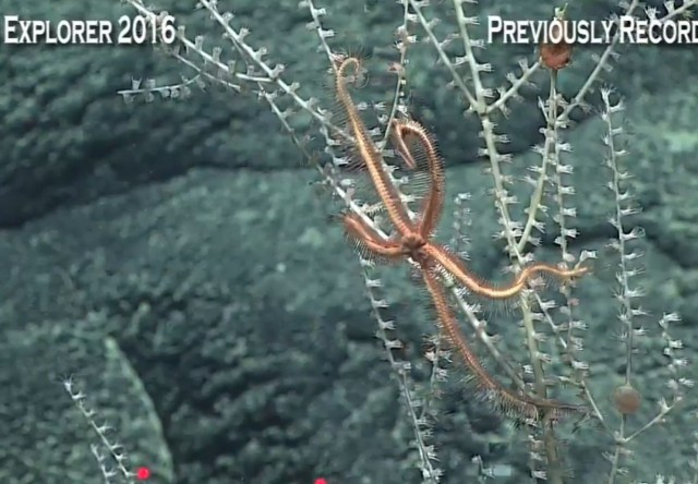 Началась онлайн-трансляция происходящего в самом глубоком месте Земли