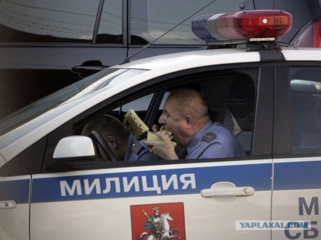Ветер повалил дерево на попавшую в ДТП машину в Люберцах.