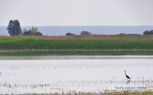 Острова Обского моря уплыли от чиновников в частные руки