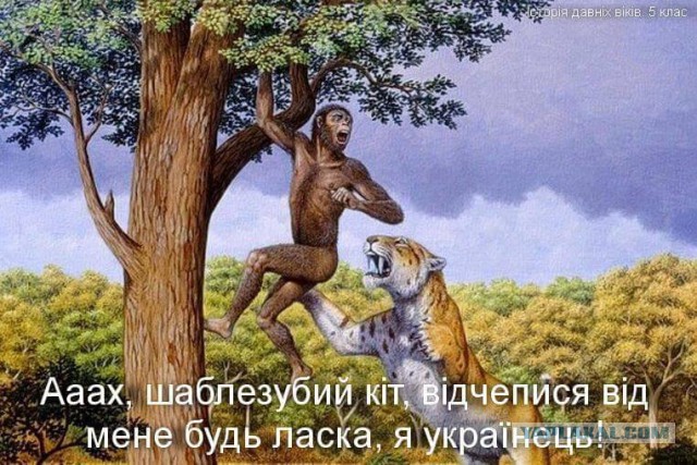 Сражение под Прохоровкой.