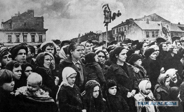1941-1942. Смоленск в цвете