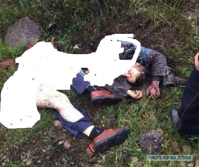 В соцсетях появилось видео жестокого убийства медведя грузовиком "Урал"