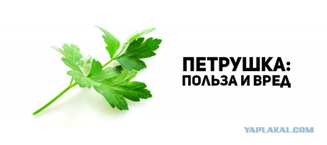 12 советов новорегу