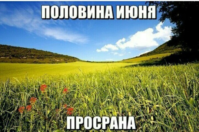 Подборка интересных и веселых картинок