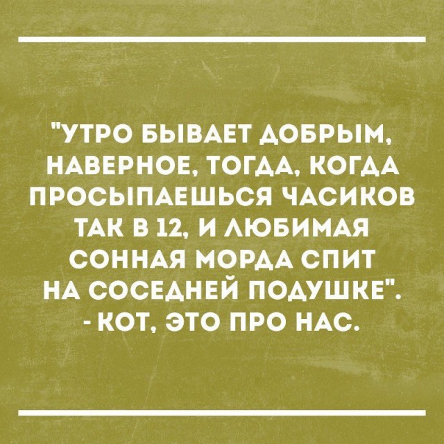 Смешные комментарии из социальных сетей 11.08.2017