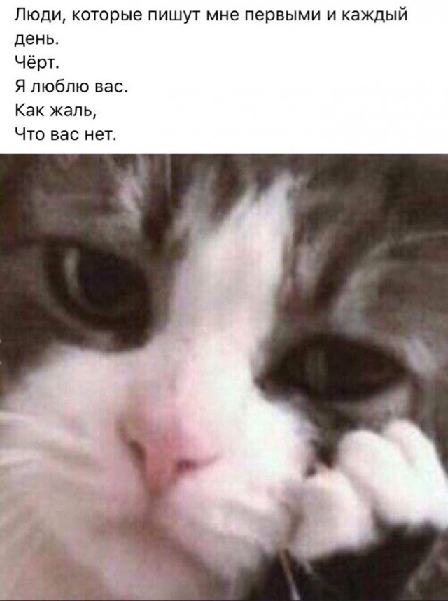 Странный юмор