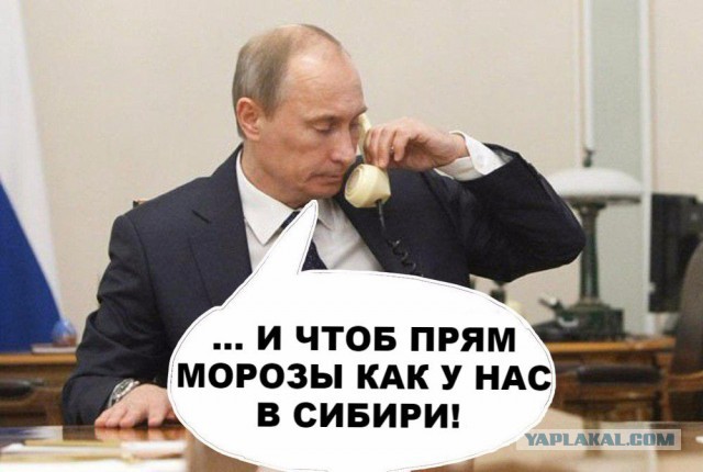 Тупик эволюции