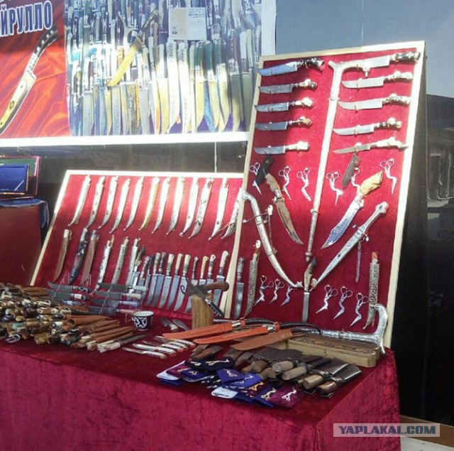 Продам Пчаки