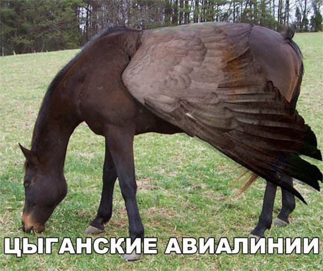 Нестандартный юмор