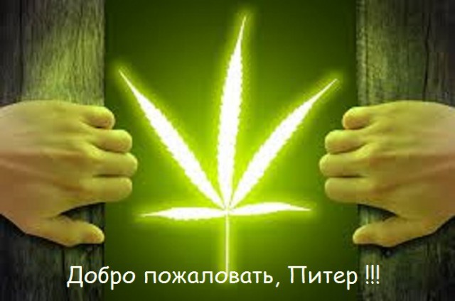 В России впервые согласовали марш за легализацию марихуаны