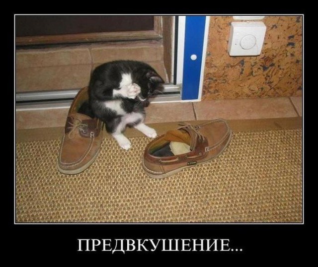 Не очень адекватный юмор