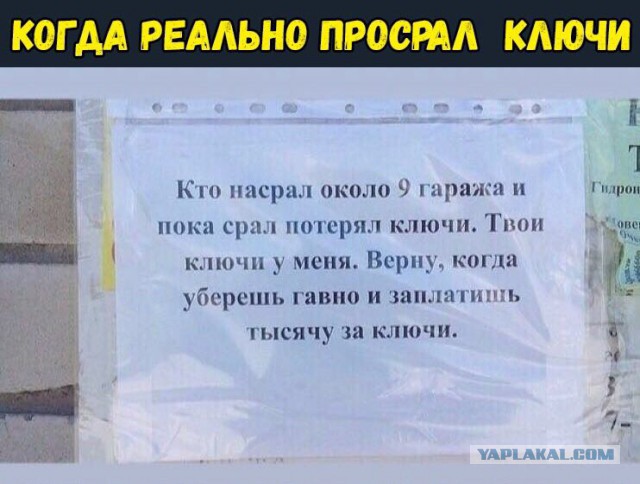 Подборка интересных и веселых картинок