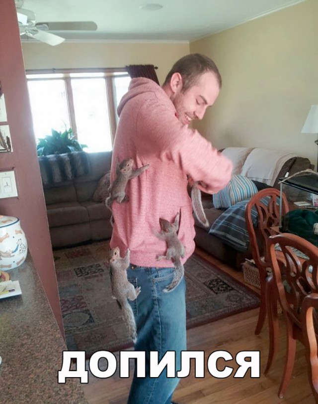 Нестандартный юмор