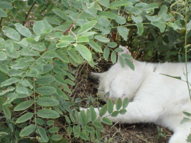 Вещи, размеры которых оказались гораздо больше, чем мы привыкли думать