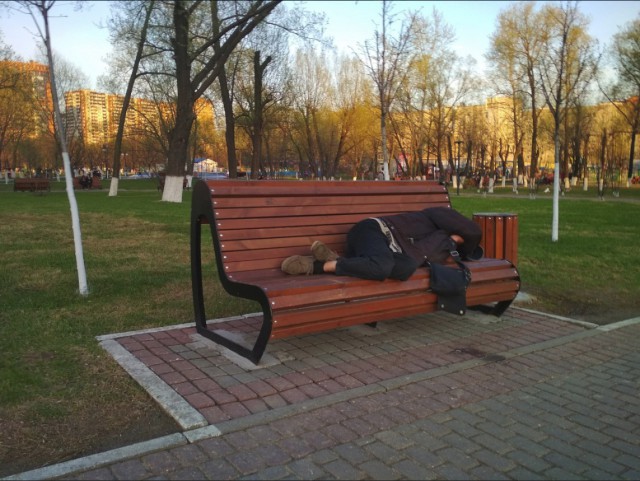 Скотсети и прочие интернеты 22.02.19