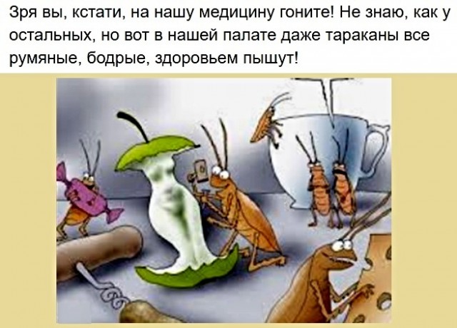 Картинки с надписями, истории и анекдоты от 11.10.19