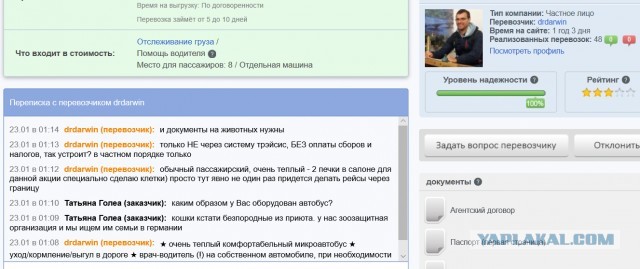 Помогите вернуть кота! Приют "Преданное сердце" украл кота и не отдает!-2