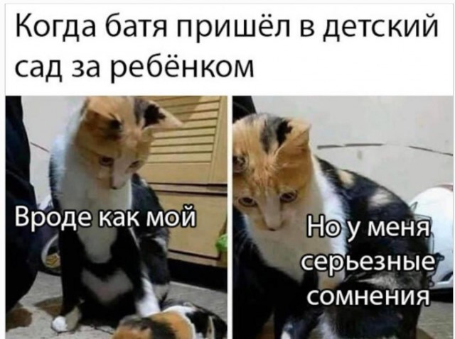 Немного картинок для настроения 20.05.20