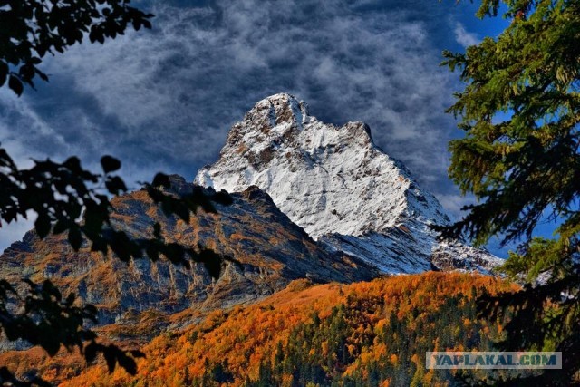 #ДРЯПнем! Гедлибже