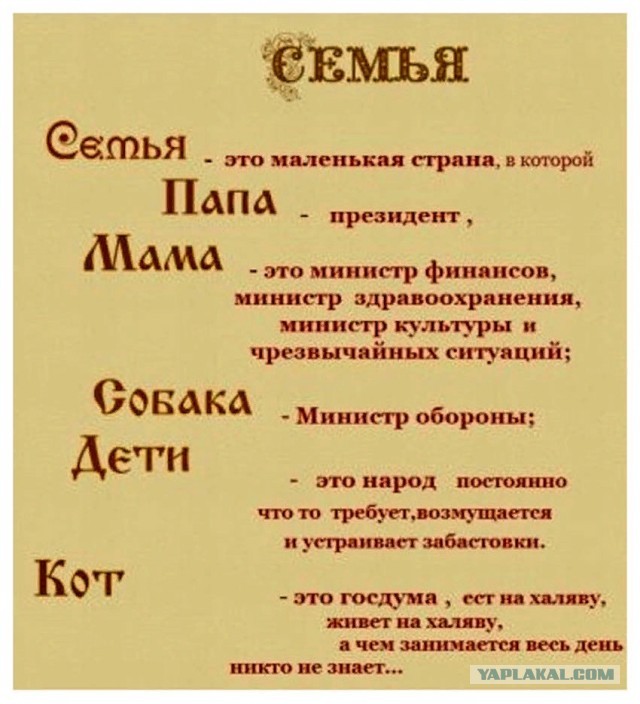 Веселые истории о нас №155