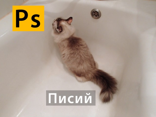 Периодическая система кото-элементов