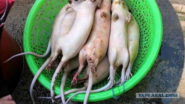 Миномет