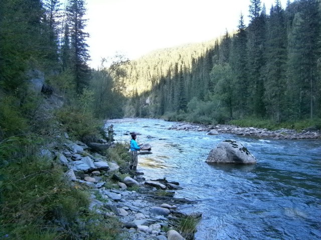 На конягах по Алтаю