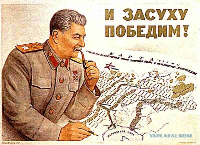 К московской шаурме "от Сталина" нагрянула полиция