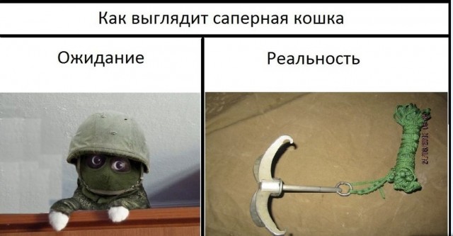 Картинки и мемы для настроения 019