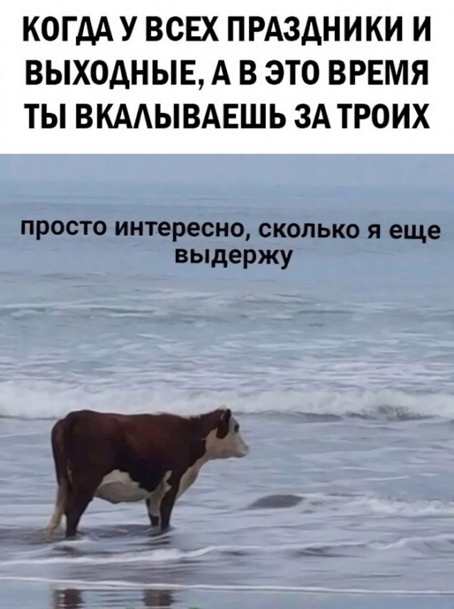Картинки и мемы для настроения