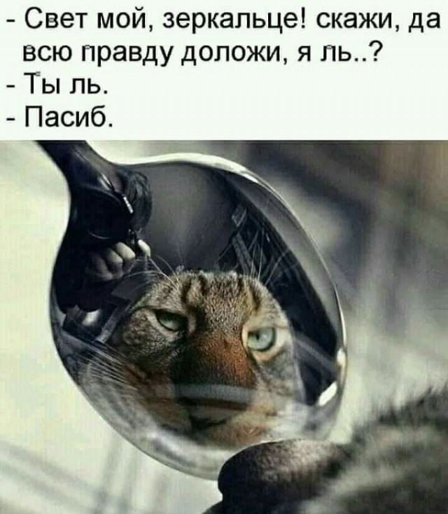 Картинки с надписями и всякие жизненные фразы