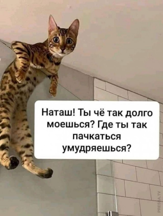 Картинки и мемы для настроения 024