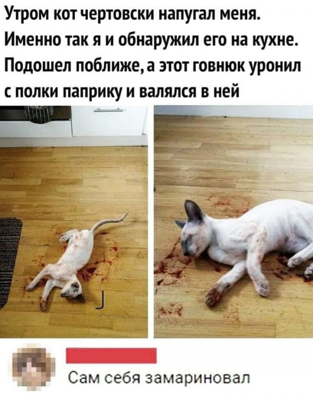 Всяческие картинки 29.12.2021