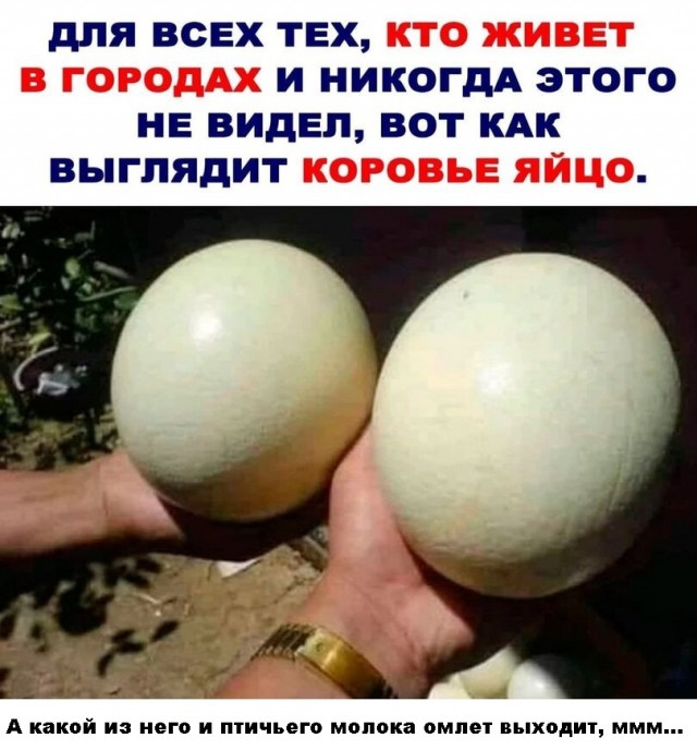 Весёлый полтишок 19.05.22
