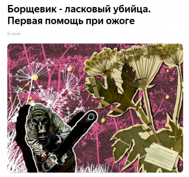Пандемия съехавших крыш. Разновидности болезни. Россия и мир. Часть 36