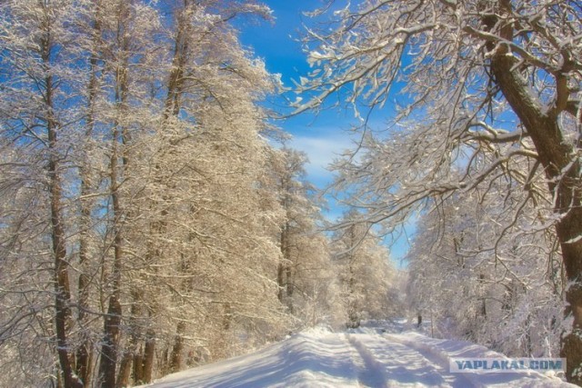 Фото весеннего розыгрыша погоды)