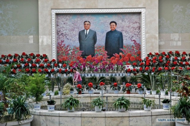 Северная Корея "в цвете"