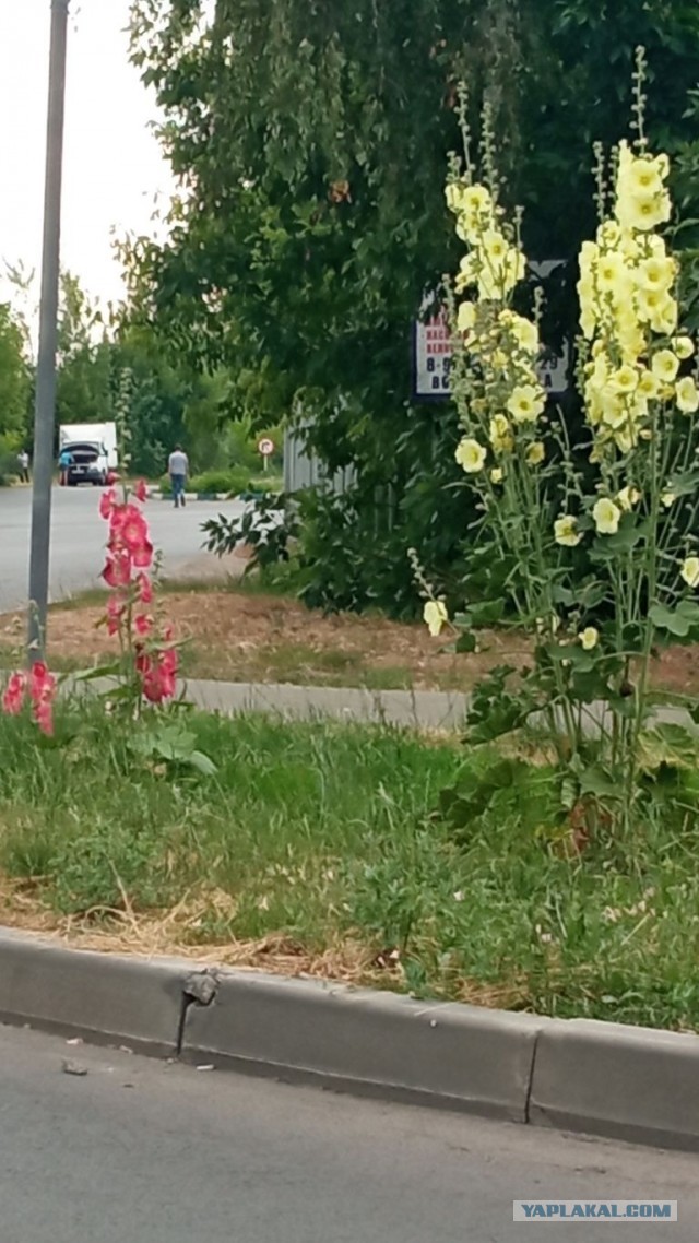 Когда уже родишь?