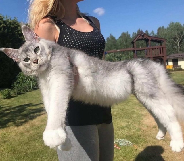 Подборка милых фото, для настроения