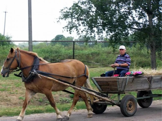 Производитель MAN и Scania уходит из России
