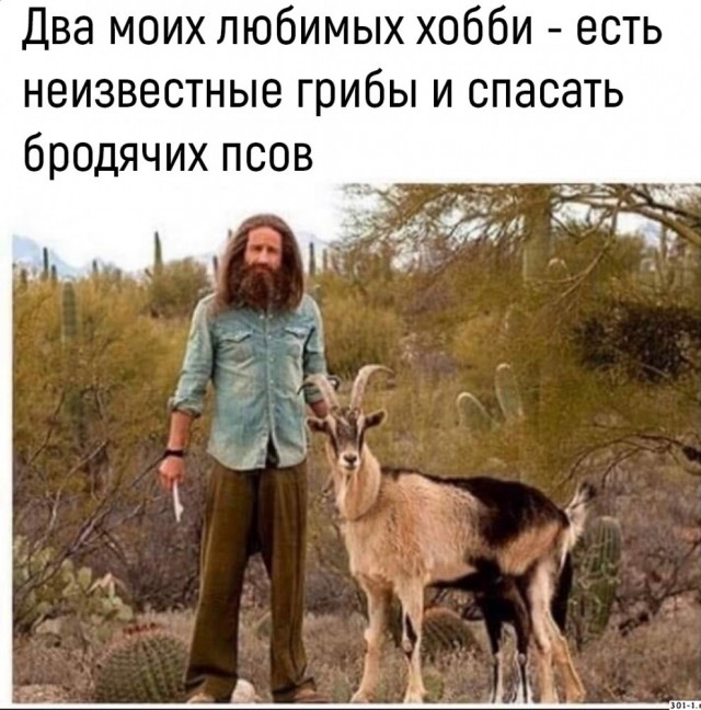 Пережившим похмелье