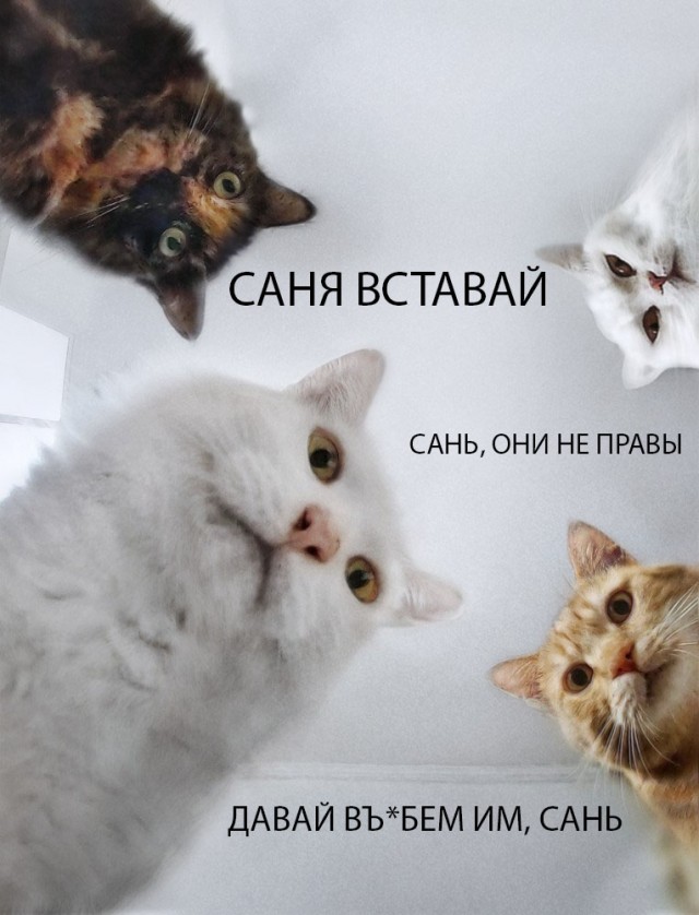 В центре Киева снесли старинный памятник Пушкину