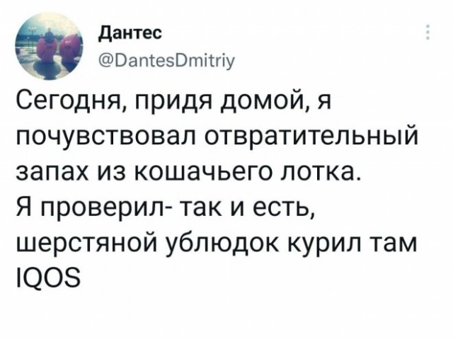 Картинки и мемы, всем хороших выходных