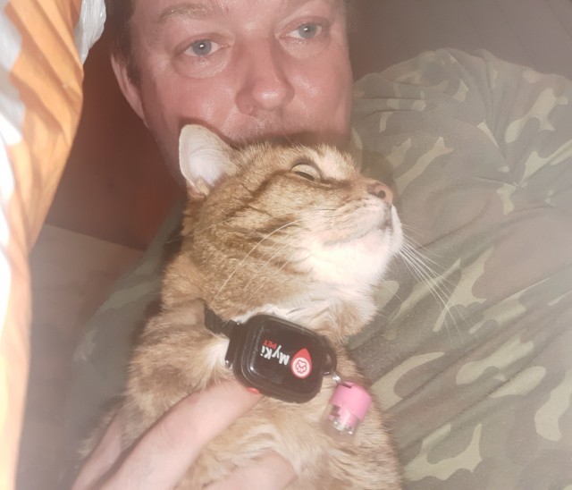 Ветеринар показал породы кошек и собак, которые он никогда бы не взял.
