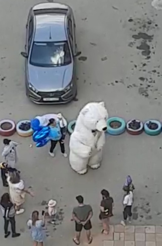Немного позитива