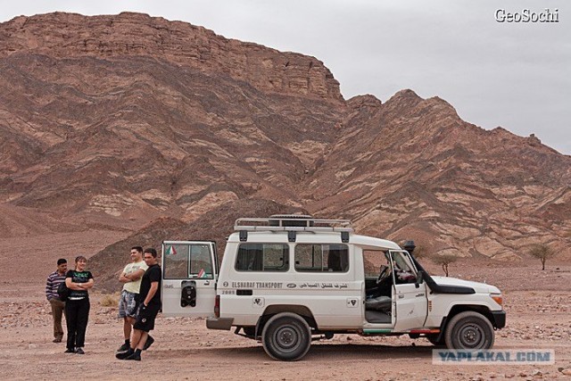 Синайские приключения. Шарм-эш-Шейх и окресности