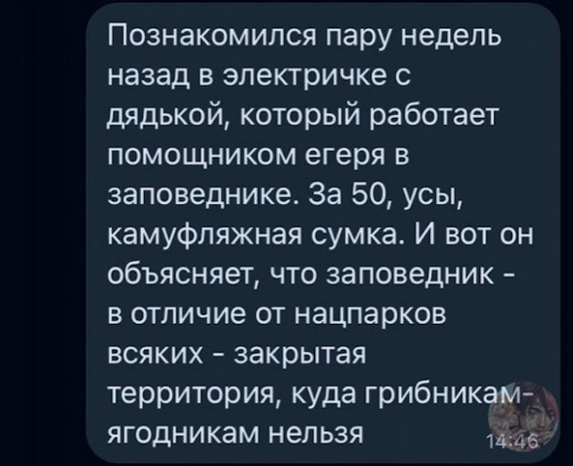 Картинки и мемы. Выходные близко...
