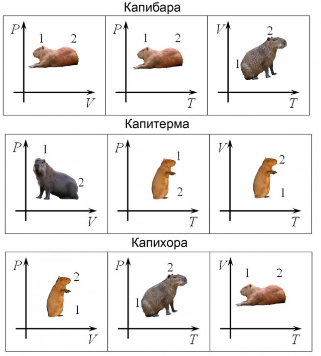 Отмена деградации II. Околонаучные картинки