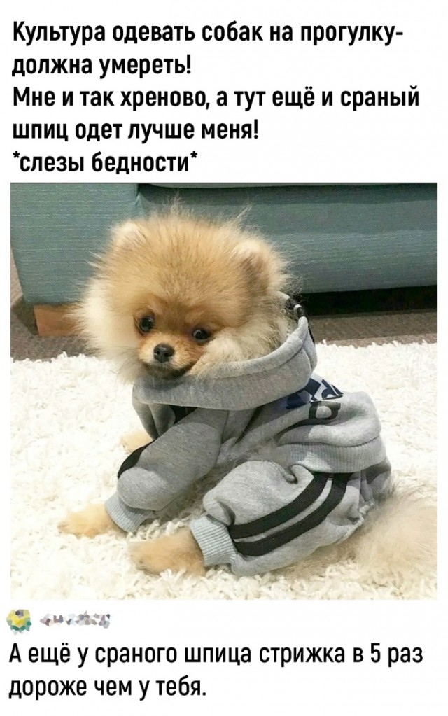 Так себе картинки 02.03.23