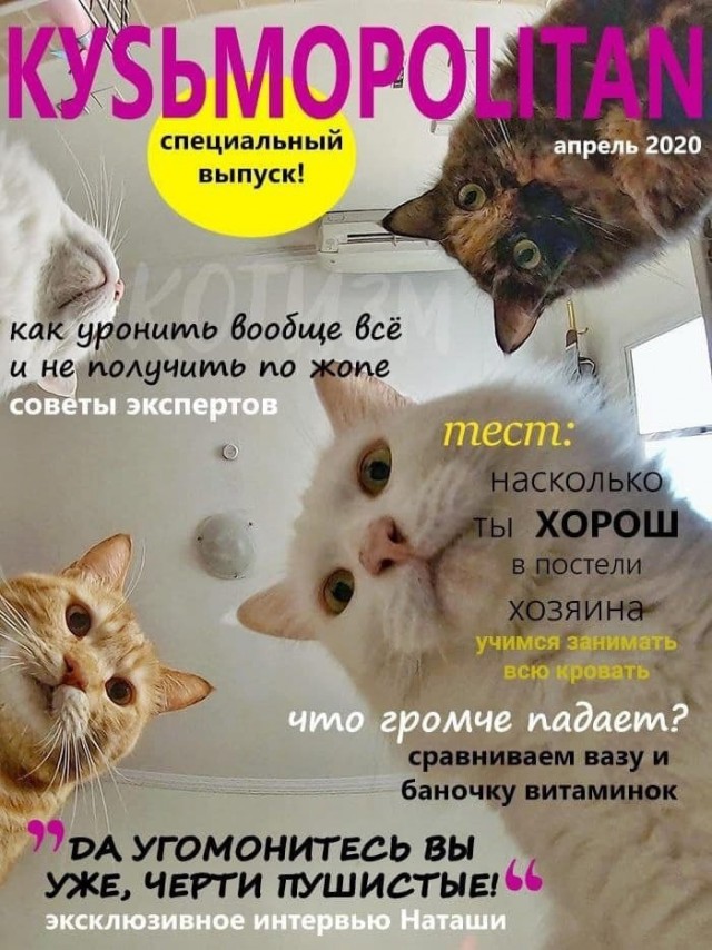 Картинки про всякое